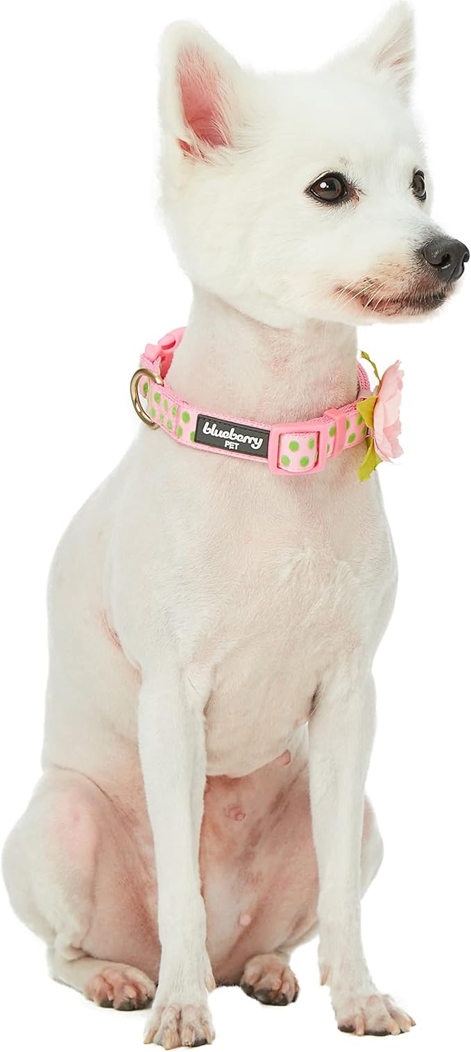 Blueberry Pet Adjustable Flocking Dog Collar with Silk Flower, Pink Dog Collar for Girls, Medium, 14.5"-20" Neck, 3/4" Width, Girl Dog Collars for Small Dogs