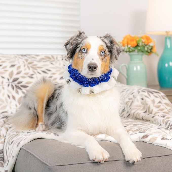 Huxley & Kent Ruff Pet Scrunchy | Hanukkah (Extra-Large) | Festive Christmas/Holiday Neckwear for Dogs/Cats | Fun Stretchable Costume Accessory | Soft Collar with Bells