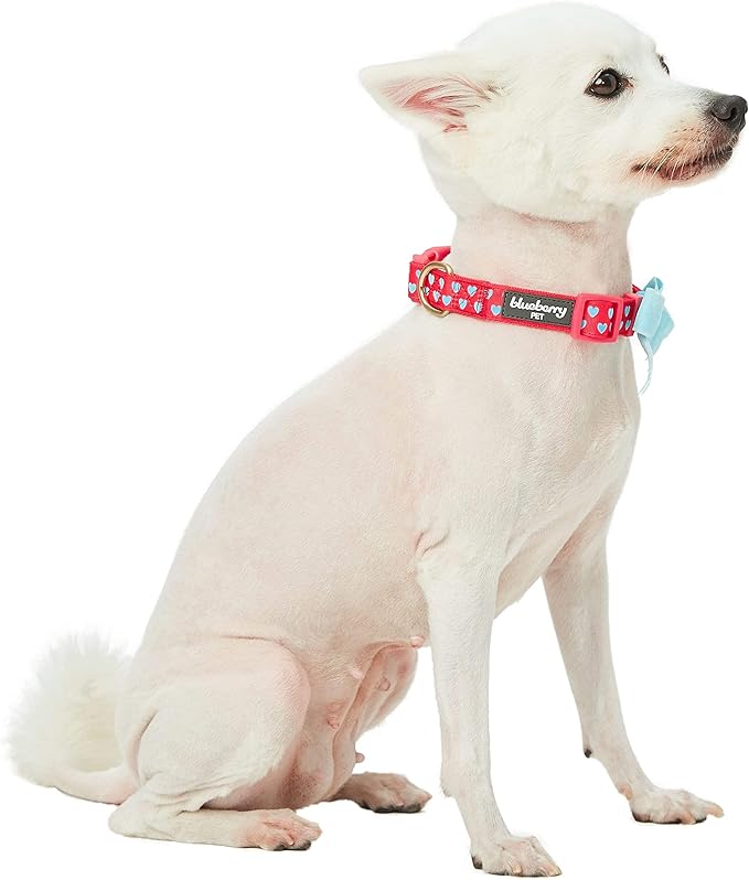 Blueberry Pet Adjustable Flocking Dog Collar for Large Dogs, Pink Girl Dog Collars with Detachable Velvety Bowtie, Heart in Lust Red, Spring Dog Collar for 18-26 Inch Neck