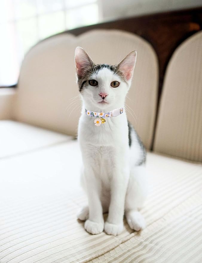 Cat Collar Breakaway with Bells,3 Pack Safety Adjustable Pet Collars,Ideal for Girl Boy Kittens. (Green Black Blue Daisy)