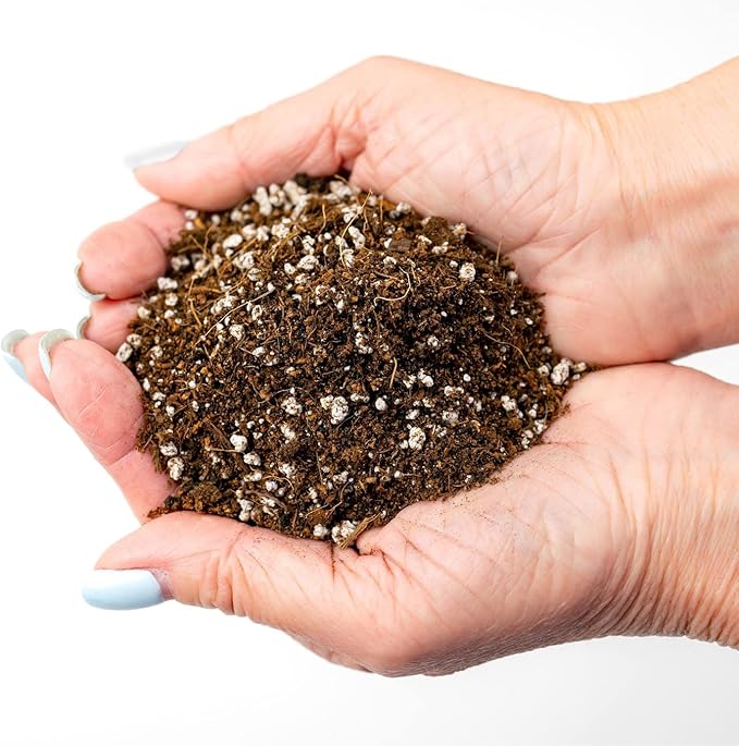 Gardenera Professional Carnivorous Plant Soil - Ready to Use for Venus Flytraps, Sundews, Pitcher Plants, Butterworts | Peat Moss, Coco Coir, Perlite - 4 Quart Bag