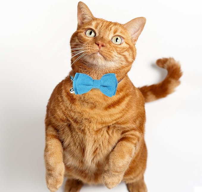 2 Pcs Boy Cat Collar with Bell Breakaway Cat Collars Cute Kitten Bow Tie Collar Adjustable Small Puppy Safety Collar Solid Color Plaid Pet Collar (Blue)
