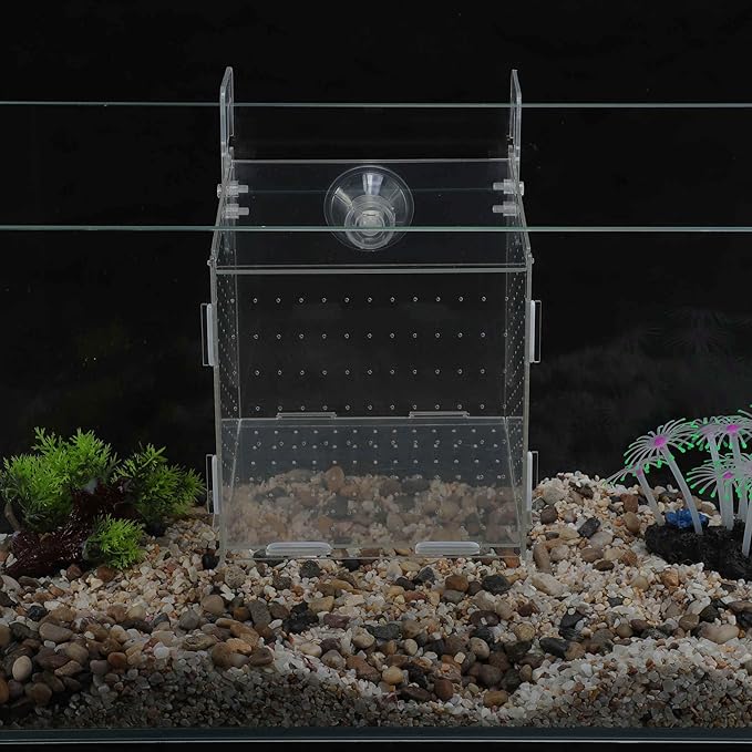 Fish Breeder Box for Fish Tank, Acrylic Fish Tank Divider, Easy to Install, 5.91"x5.91"x5.91", Clear, 1 Set