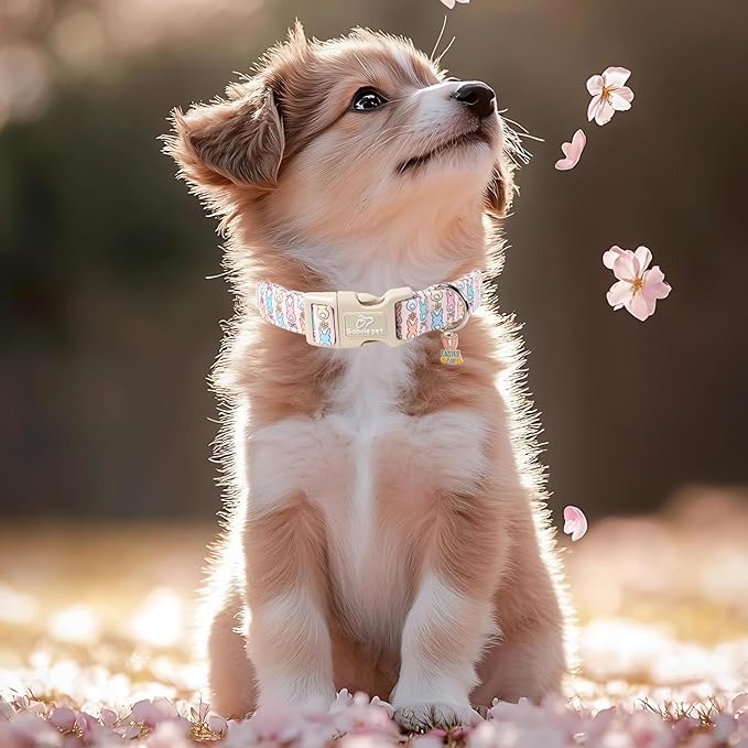Easter Dog Collar for Puppy Small Dogs - Pastel Easter Bunny Collars for Female Dogs, Cute Spring Girl Dog Collar, Lightweight Adjustable Cartoon Holiday Pet Collars XS