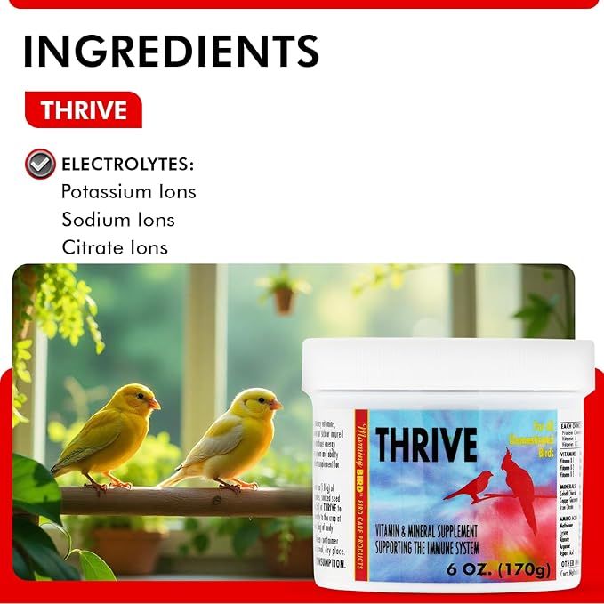 Morning Bird Thrive 6 Oz - Multi-Vitamin Bird Supplement Designed for Immune and Recovery Support - Formulated for Sick or Injured Birds - Protein Supplement and Energy Booster for All Adult Birds