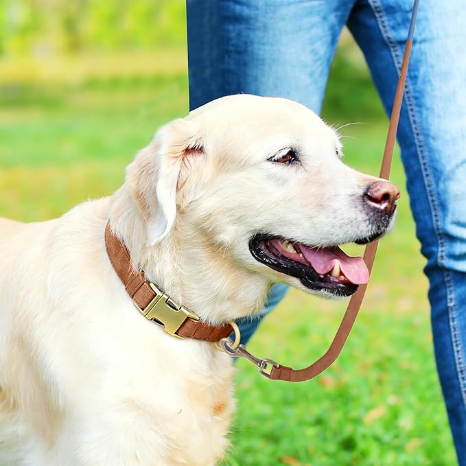 Genuine Leather Dog Collar - Adjustable Pet Collar with Quick Release Metal Buckle, Soft Skin Friendly Real Leather Collar for Small, Medium, Large Dogs (Khaki Collar + Rope, M：Fit 12-20" Neck)
