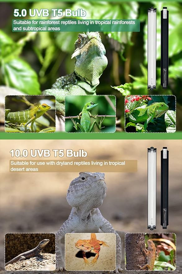 24W T5 HO UVB Reptile Light Fixture Kit, Terrarium Hood Light with Desert UVB 10.0 Fluorescent Tube, Ideal for Tropical and Desert Habitats