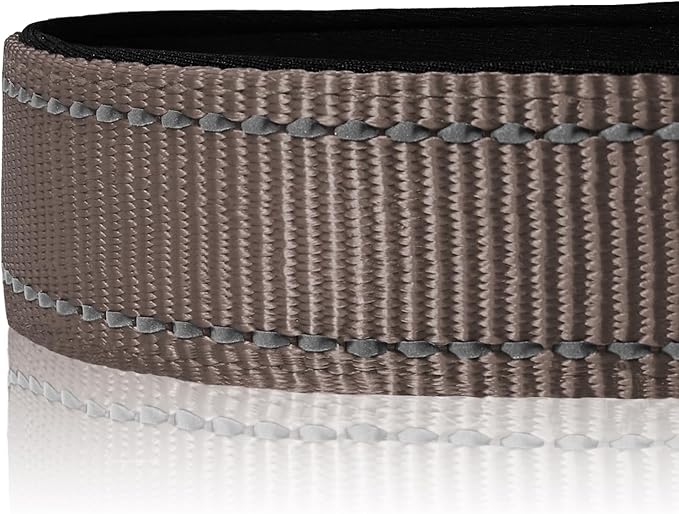 Joytale Reflective Dog Collar, Soft Neoprene Padded, Metal D-Ring, Nylon Pet Collar Adjustable for Small Dogs, Brown, Small
