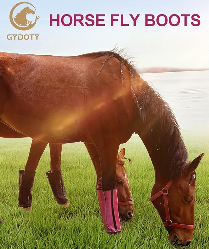 Horse Fly Boots Set of 4 - Upgrade Mesh Horse Leggins with Leather Frame, Leg Fly Protection (Medium, Blue)