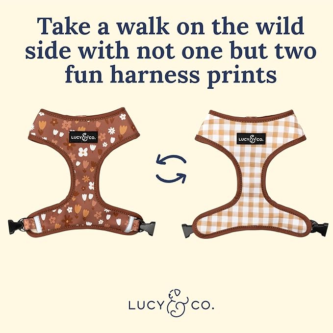 Lucy & Co. Cute Reversible Dog Harness Walking Halter - Best Designer Pet Harnesses for XS - XL Dogs - Padded Adjustable Vest for Easy Walking (Medium, Chocolate Meadows - Brown & White Floral)