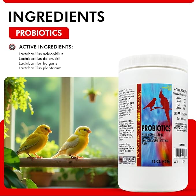 Morning Bird Probiotics for Birds 16 oz – Digestive Health Supplement Supporting Gut Balance, Nutrient Absorption & Immune Support – Easy Mix Powder Supplement for All Bird Species