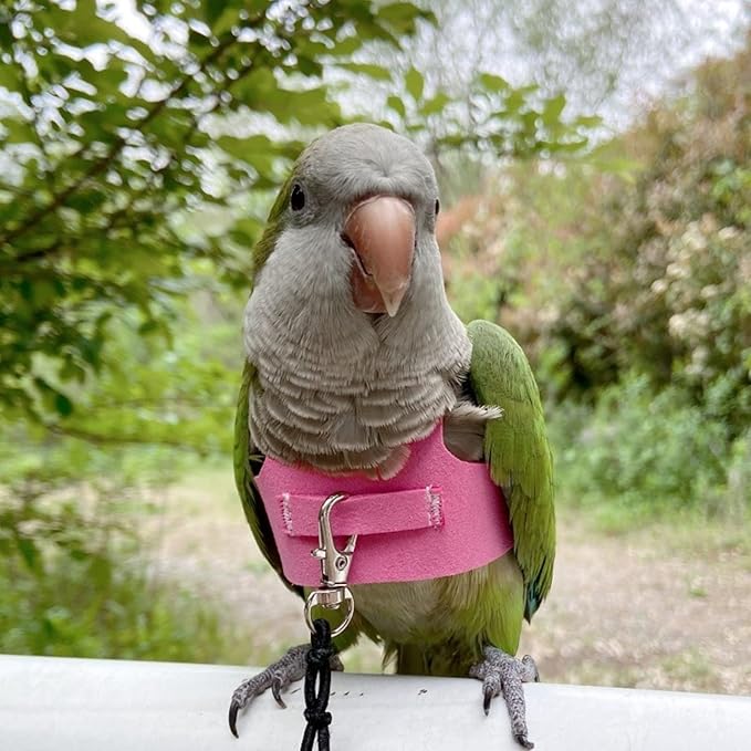 Bird Flight Harness Vest, Parrot Flight Suit with Leash for Parakeets Cockatiels Conures Budgies, Bird Flying Clothes with Rope and Handle for Outdoor Activities Training (M, Pink)