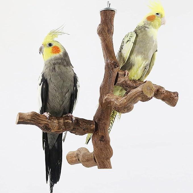 Allazone 6 PCS Bird Perch Natural with Chewing Toys Natural Grapevine Bird Stand Grape Stick Natural Bird Parrot Perch Standfor Parrots, Parakeets Cockatiels, Conures, Macaws, Love Birds (Style 8)