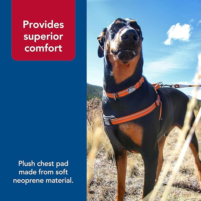 Coastal Pet K9 Explorer Reflective Adjustable Padded Dog Harness - Plush Chest Pad for Comfort - No-Pull Dog Harness for Small and Large Dogs - Campfire Orange - 1" x 26"-38", Large