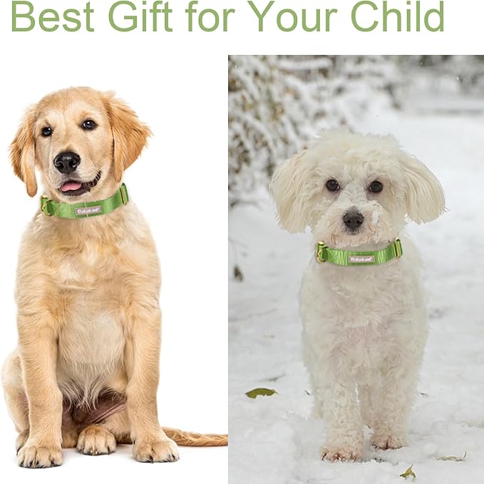 Nylon Dog Collar - Adjustable Green Soft Webbing Dog Collars for Small Medium Large Dogs Boy Girl Puppy Collar with Safety Metal Buckle S
