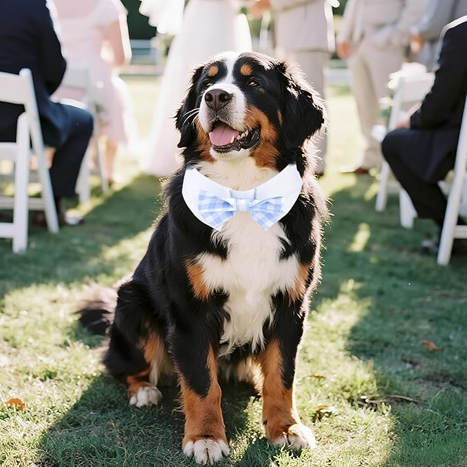 Segarty Dog Bow Tie for Neck Girth 16.5-21.2in, Adjustable Light Blue Plaid Bowtie Collar for Extra Large Dogs, Neck Tie Tuxedo Comfortable Cotton Grooming Accessory for Wedding Holiday Birthday Party