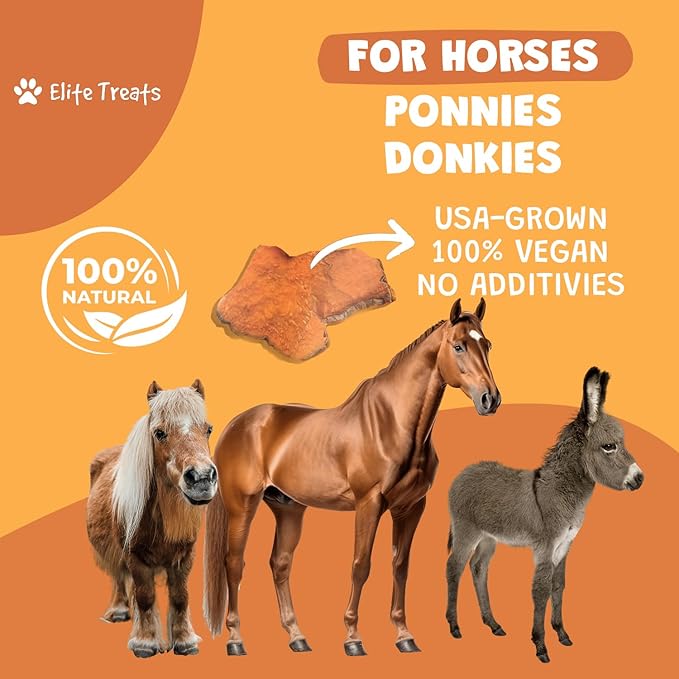 Horse Treats - Sweet Potato & Apple 16 oz. | All Natural, Dehydrated Treat | Made in The USA for Horses, Ponies, Donkeys | Made with Real Sweet Potato Slices and Apple Concentrate -16 oz