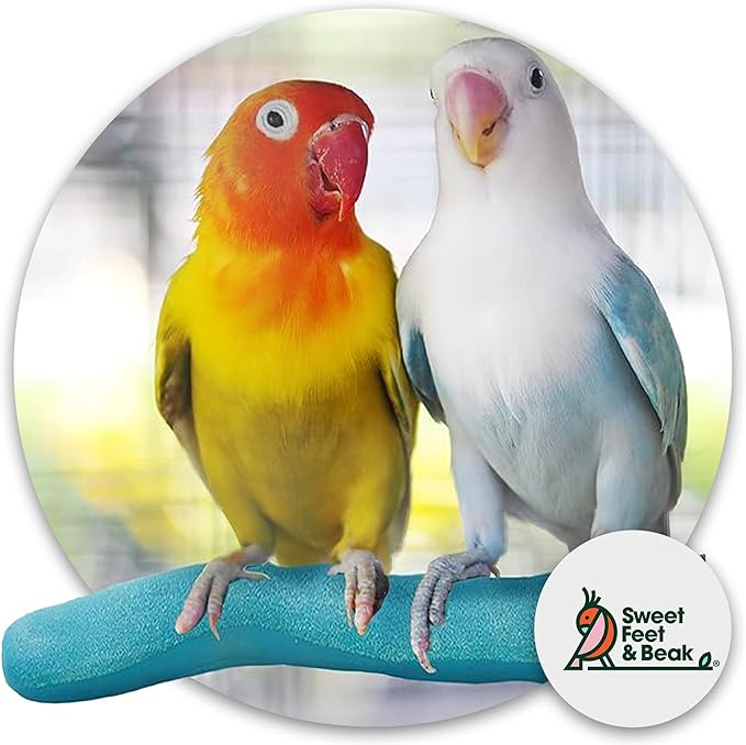 Sweet Feet & Beak Safety Pumice Bird Perch, Large 1-1/2" X 12", Blue - Lightweight Grinding Bird Perches for Cage - Bird Nail Trimming Perch for Healthy Beak & Feet - Multi-Size & Color Parrot Stand