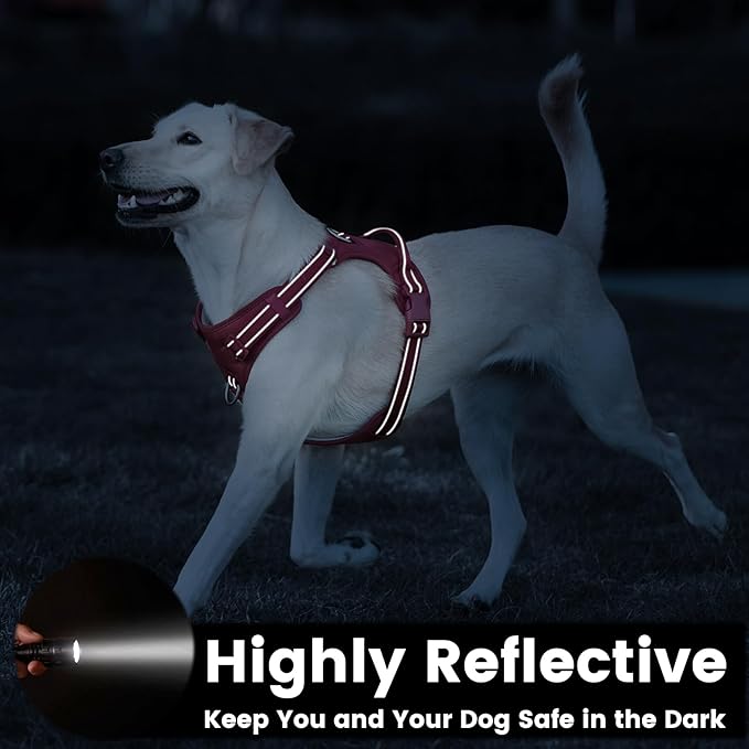 No Pull Dog Harness, Reflective Puppy Vest for Small Medium Large Sized Dog(Burgundy Red,M)