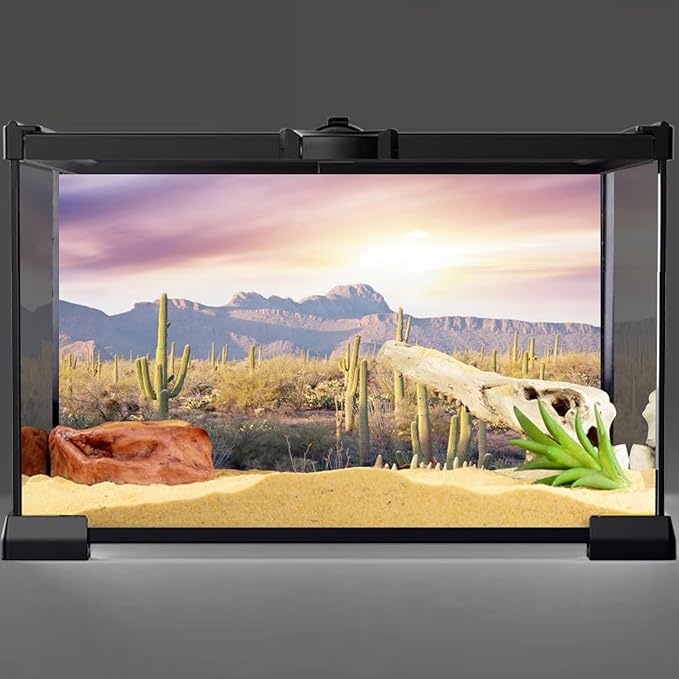 AWERT Reptile Habitat Background Blue Sky Oasis Mountain Cactus Sun and Desert Terrarium Background 72x18 inches