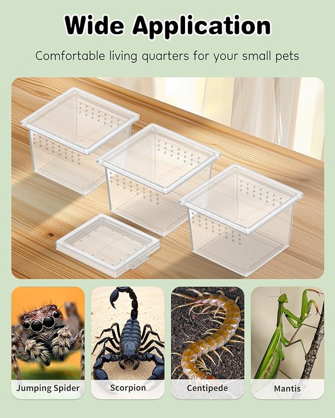 Pawfly 20 Pcs Mini Spider Terrarium Breeding Box, Transparent Plastic Jumping Spider Enclosure Cricket Keeper Tarantula Enclosure, Small Reptile Hatching Container for Scorpion Centipede Gecko Mantis