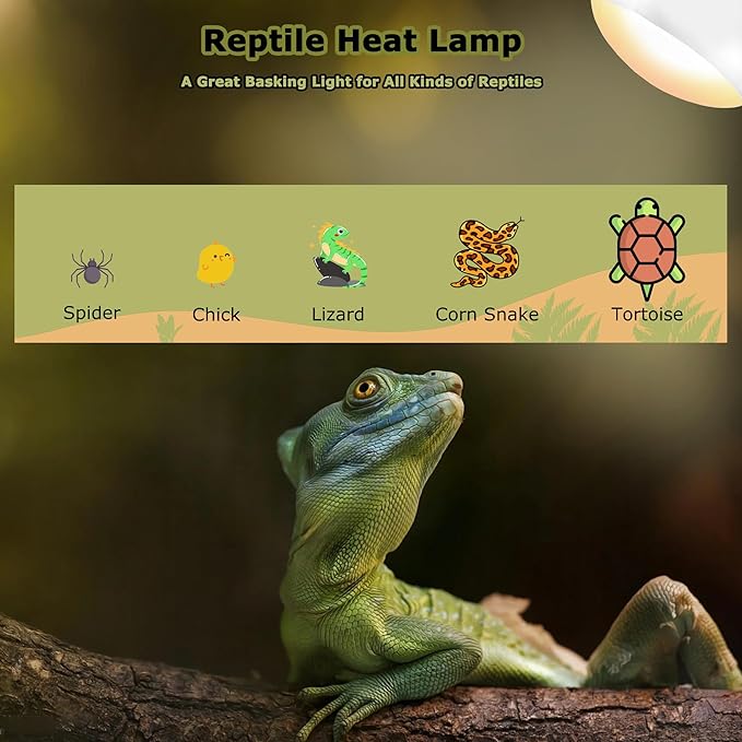 60W Reptile Heat Lamp Bulbs, 2.5 Inch UVA Basking Spot Light for Bearded Dragon, Lizard, Tortoise, Chicks & Amphibians – Simulated Natural Sunlight, Daylight Bulb for Terrarium E26 | 2 Pack