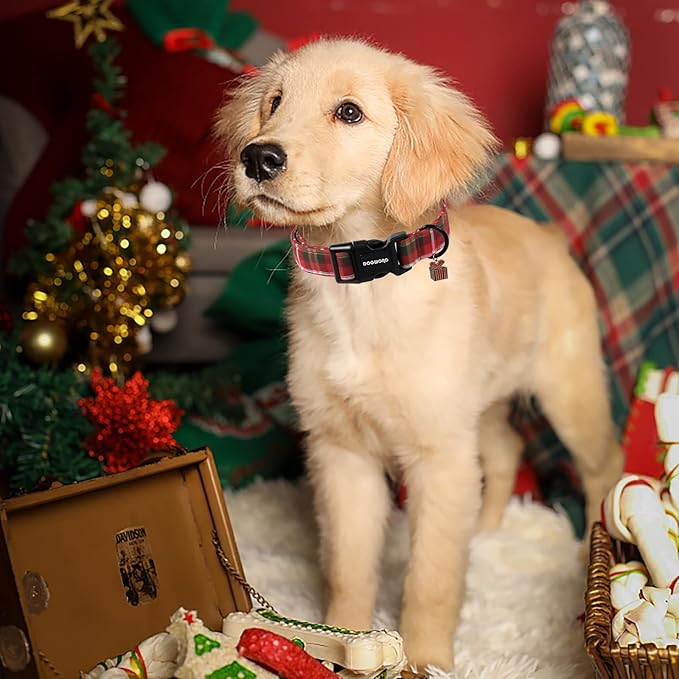 DOGWONG Christmas Plaid Dog Collar, Cute Adjustable Red Collar for Boy and Girl Dogs, Dog Collar with Strong Plastic Buckle for Small Medium Large Dogs,M