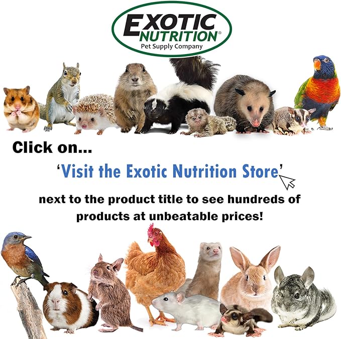 Exotic Nutrition Pasture Plus+ Salad Essentials - Healthy Natural High-Fiber Dried Flower & Herb Treat - Guinea Pigs, Rabbits, Chinchillas, Prairie Dogs, Degus, Hamsters, Gerbils & Other Small Pets