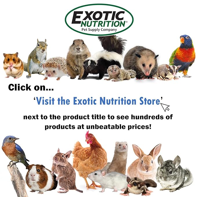 Exotic Nutrition Sugar Glider HPW Diet Jar - High Protein Healthy Natural No Mess Food for Sugar Gliders - High Protein Wombaroo Diet (Combo)