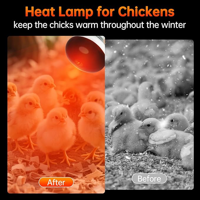 LUCKY HERP Heat Lamp for Chickens, 250 Watt Red Heat Lamp Bulbs, Infrared Heat Lamp for Chickens, Chicks, Reptile, Pets, Brooder Coop, Poultry (2 Pack)