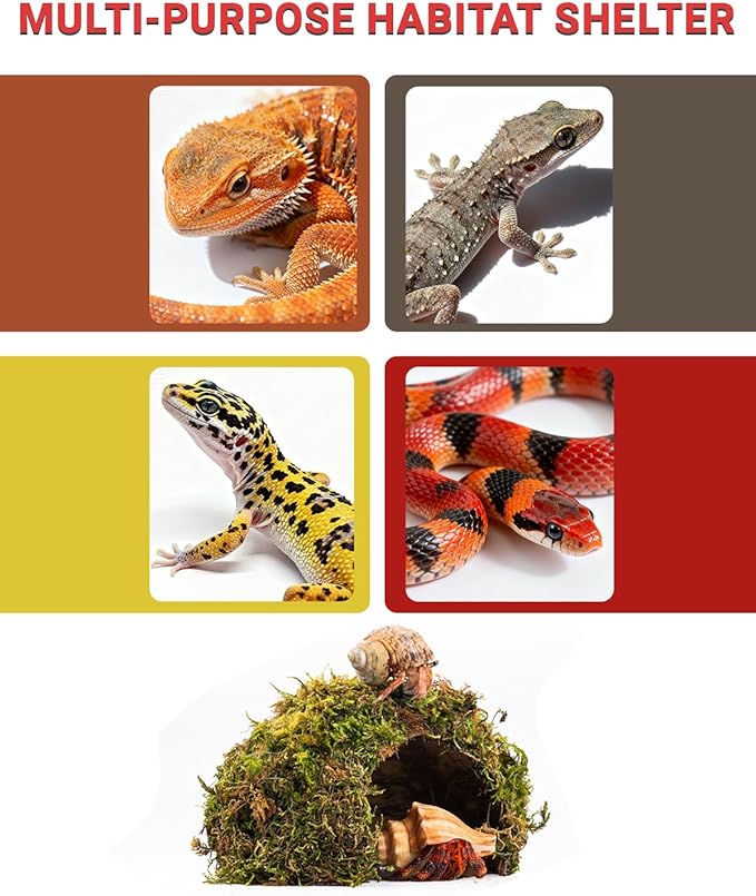 Reptile Hides and Caves – Leopard Gecko Tank Accessories, Natural Dome Reptile Cave & Shelter, Gecko Tank Accessories & Hermit Crab Shelter, 5.5×6.5×3in