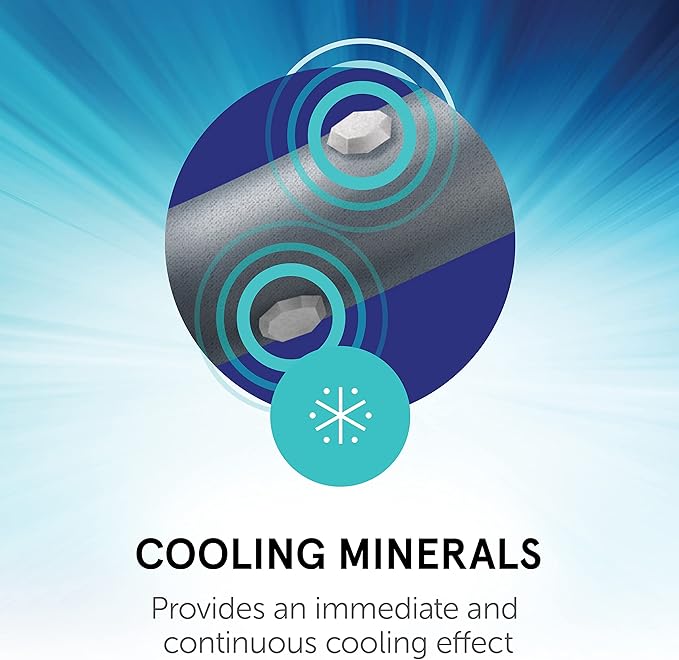 Professional's Choice 2XCOOL Sports Medicine Horse Boots | Protective & Breathable Design for Ultimate Comfort, Durability & Cooling in Active Horses | 2 Pack