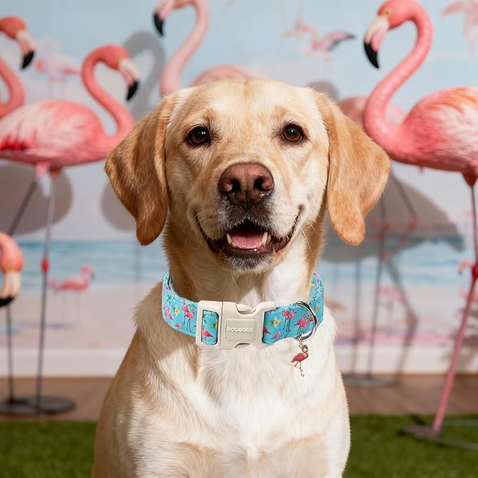 DOGWONG Spring Summer Dog Collar-Cute Flamingo Dog Collar, Adjustable Soft Beach Hawaiian Dogs Collars for Large Dogs, L