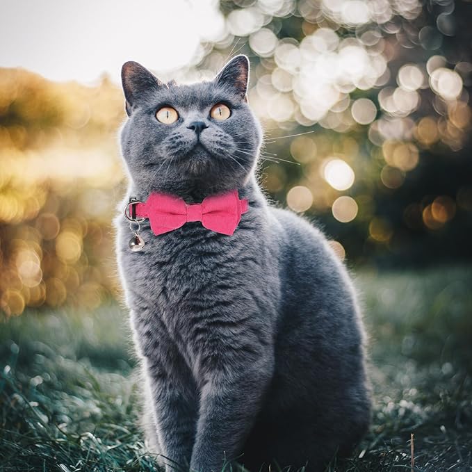 Sliverdew 2 Pcs Kitten Bow Tie Collar with Bell Cute Cat Collar for Girl Boy Cats Breakaway Cat Collars Adjustable Small Puppy Safety Collar Solid Color Plaid Pet Collar (Pink)