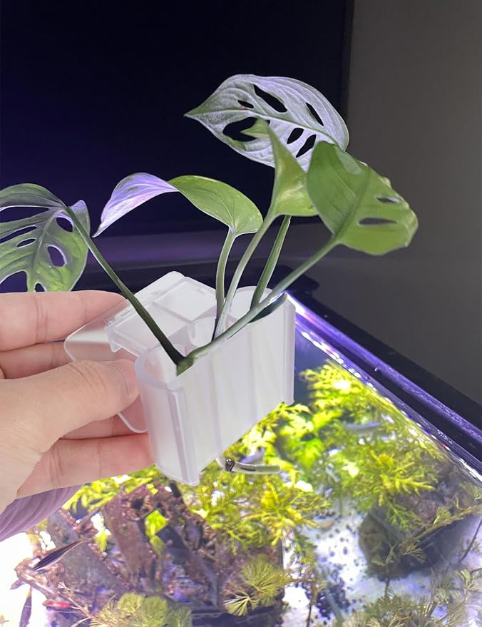 2 Pk Upgraded Aquarium Plant Holder, 3-Hole Hanging Aquarium Plant Holder with Clip, Suitable for Fish Tank Plant Potting, Aquarium Decoration, White