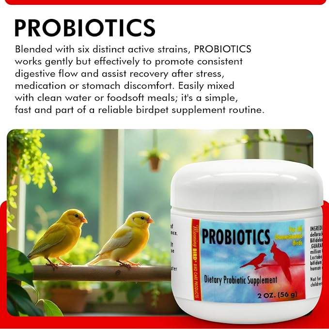 Morning Bird Probiotics for Birds 2 oz – Digestive Health Supplement Supporting Gut Balance, Nutrient Absorption & Immune Support – Easy Mix Powder Supplement for All Bird Species