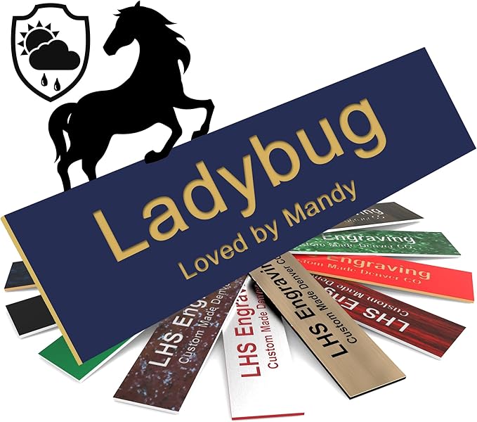 Personalized Horse Stall Name Plates, 2x6 Horse Stall Signs with Adhesive, All Weather UV Protected, Navy Blue Plastic with Gold Letters - Made in USA - B10