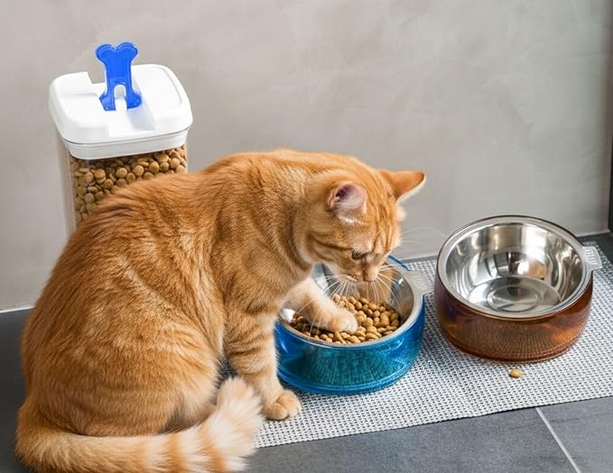 Felli Oblik Elevated Cat Bowl Removable Stainless Steel Wide Dish for Dry Wet Food Feeding & Dishwasher Clean, Slanted Whisker Fatigue Friendly Metal Plate + Acrylic Base Non Slip (0.5Cup Sapphire)