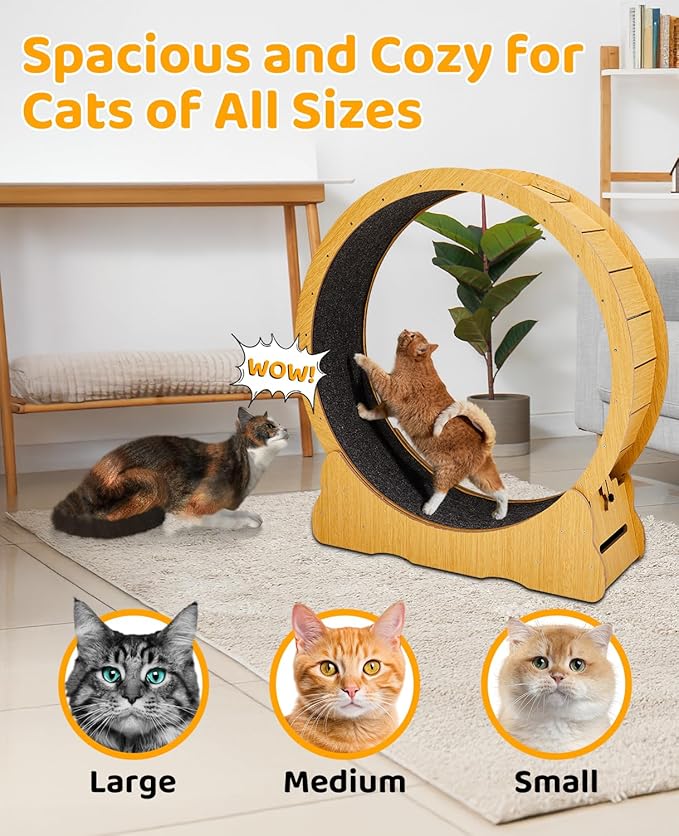 Outvita Cat Exercise Wheel for Quiet Running Indoor Use, 43.3" Cat Treadmill with Detachable Carpet, Cats Exerciser Helps Cats to Lose Weight and Keep Health, Easy to Install (Natural Wood)