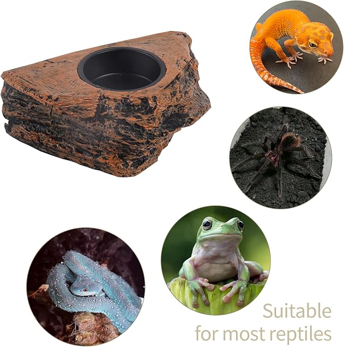 Reptile Magnetic Feeder Ledge, Reptile Food and Water Dish with Bowl Feeding Cups for Lizards, Crested Gecko, Lizard and Chameleons Pets, Easy Install Terrarium Tank Accessory (Single Feeder)