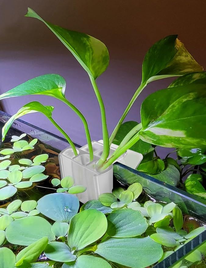 4 Pk Upgraded Aquarium Plant Holder, 3-Hole Hanging Aquarium Plant Holder with Clip, Suitable for Fish Tank Plant Potting, Aquarium Decoration, White