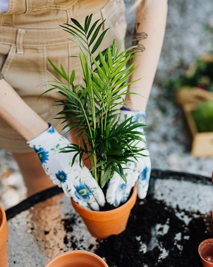 GARDENERA Palm Tree Potting Mix - The Ultimate Soil for Strong and Healthy Palms - Top Choice for Palm Tree Growers [5 Quart Bag]