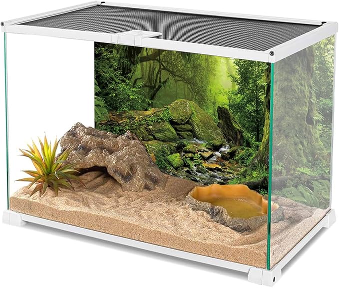 AWERT Tropical Forest Terrarium Background Stream Green Huge Tree Reptile Habitat Background Foggy Rainforest Aquarium Background 72x18 inches Durable Polyester Background