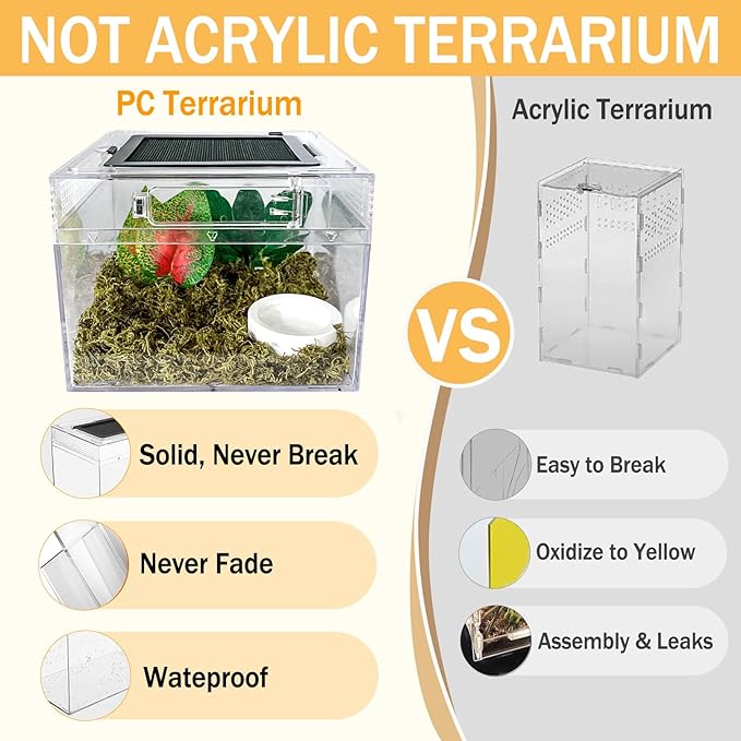 Reptile Terrarium, Jumping Spider Enclosure Starter Kit, Leopard Gecko Habitat Container, 8"x8"x7"Reptile Tank for Tarantula, Hermit Crab, Insect, Fish, Frog, Small Bearded Dragon, Lizard