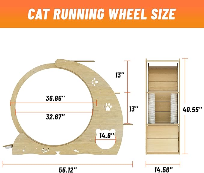 GarveeLife Cat Exercise Wheel for Indoor Cats, Cat Treadmill with Bowls, Scratch Post & Detachable Carpet, Large Quiet Cats Running Wheel for Kitties Endless Fun & Fitness Wood Color