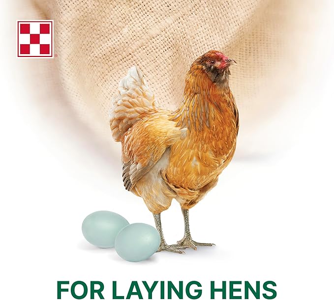 Purina Layena + High Protein Layer Chicken Feed (40 Pound)