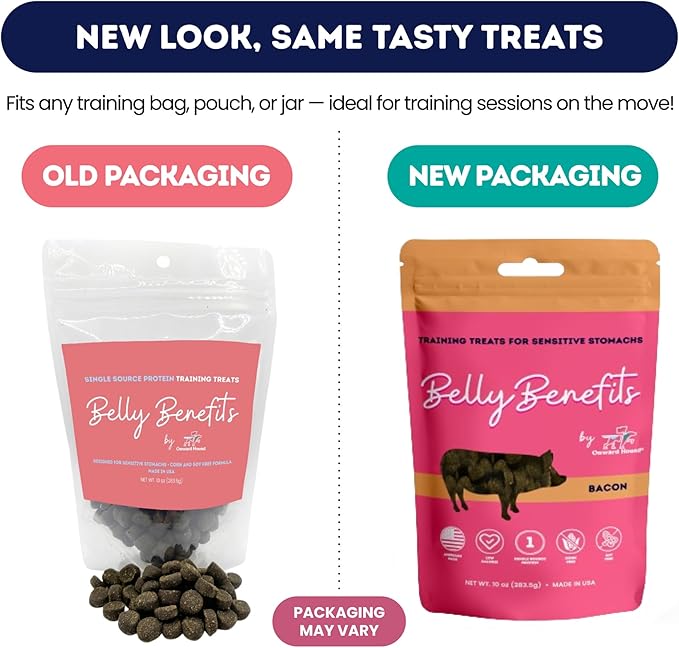 Training Treats for Dogs - Soft Salmon - Low Calorie Dog Training Treats for Sensitive Stomachs with Single Source Premium Protein, Corn Free, & Soy Free Formula - 10 oz