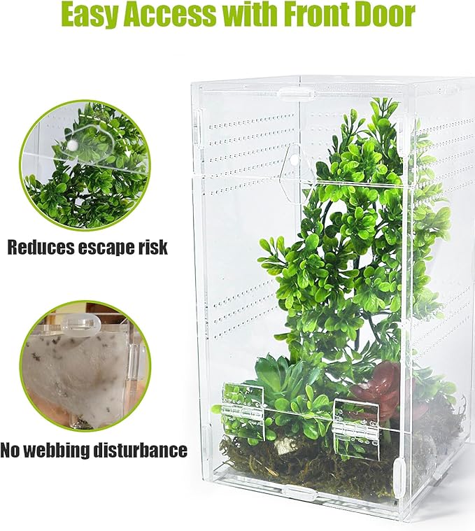 Jumping Spider Enclosure 6”x6”x10”, Transparent Arboreal Tarantula Habitat, Praying Mantis Terrarium Critter Cage for Jumping Spider, Tarantula, Mantis, Snail, Isopods, Beetles, Millipedes