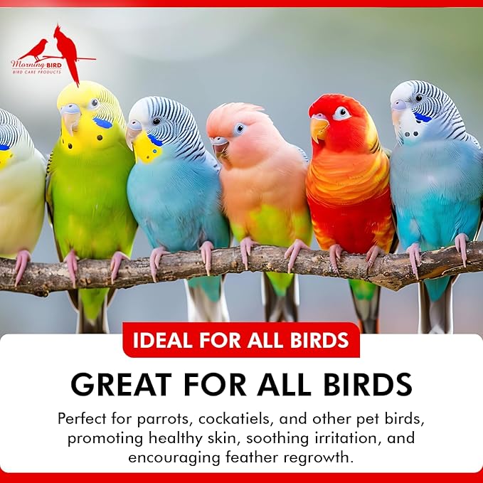 Morning Bird Aloe Vera Spray – Natural Cleaner Spray for All Birds – Soothes Dry Skin & Supports Healthy Skin – Easy-to-Use Spray Bottle for Gentle Hydration & Skin Relief 4 Fl Oz