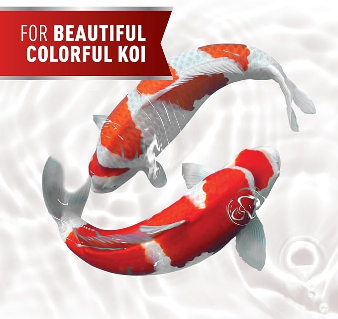 Mazuri Koi Premium Food Medium - 4mm Pellet Food for Koi Over 6 inches Long, 20 Pound (20 LB) Bag